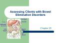 Assessing Clients with Bowel Elimination Disorders PowerPoint PPT Presentation