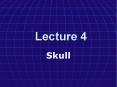 Skull PowerPoint PPT Presentation