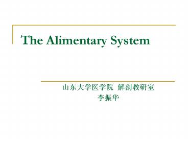 presentation player overlay