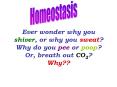 Ever wonder why you shiver, or why you sweat? Why do you pee or poop? Or, breath out CO2? Why?? PowerPoint PPT Presentation