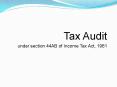 Tax Audit PowerPoint PPT Presentation