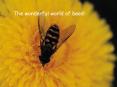 The wonderful world of bees PowerPoint PPT Presentation
