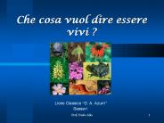 Che cosa vuol dire essere vivi ?