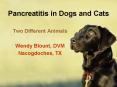 Pancreatitis in Dogs and Cats PowerPoint PPT Presentation