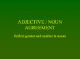 ADJECTIVE / NOUN AGREEMENT PowerPoint PPT Presentation