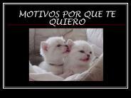 MOTIVOS POR QUE TE QUIERO