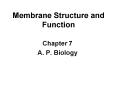 Membrane Structure and Function PowerPoint PPT Presentation