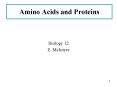 Amino Acids and Proteins PowerPoint PPT Presentation
