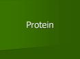 Protein PowerPoint PPT Presentation