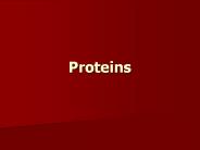 Proteins