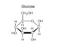 Glucose PowerPoint PPT Presentation