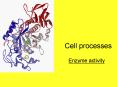 Cell processes PowerPoint PPT Presentation