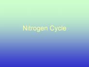 Nitrogen Cycle