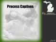 Process Captives PowerPoint PPT Presentation