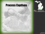 Process Captives