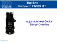 The Brio Unique to ENDOLITE PowerPoint PPT Presentation