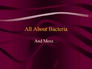 All About Bacteria