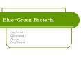 Blue-Green Bacteria PowerPoint PPT Presentation