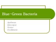 Blue-Green Bacteria