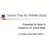 Camera Trap for Wildlife Study