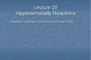 Lecture 20 Hypersensitivity Reactions
