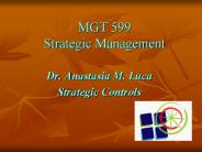 MGT 599 Strategic Management