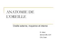 ANATOMIE DE L