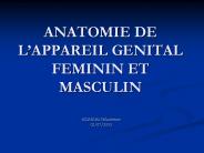 ANATOMIE DE L