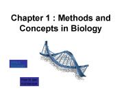 Chapter 1 : Methods and Concepts in Biology