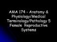 AMA 174 - Anatomy PowerPoint PPT Presentation