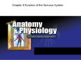 Chapter 8 Function of the Nervous System PowerPoint PPT Presentation