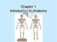 Chapter 1 Introduction to Anatomy PowerPoint PPT Presentation