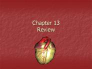 Chapter 13 Review
