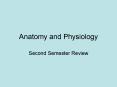 Anatomy and Physiology PowerPoint PPT Presentation