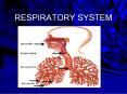 RESPIRATORY SYSTEM PowerPoint PPT Presentation
