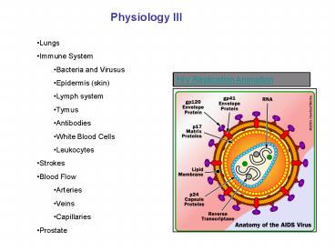 Physiology III