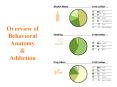 Overview of Behavioral Anatomy PowerPoint PPT Presentation