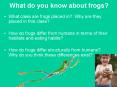 What do you know about frogs? PowerPoint PPT Presentation