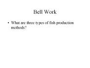Bell Work