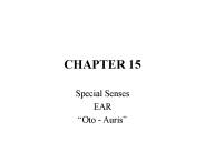 Special Senses