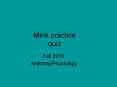 Mink practice quiz PowerPoint PPT Presentation