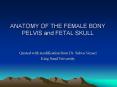 ANATOMY OF THE FEMALE BONY PELVIS and FETAL SKULL PowerPoint PPT Presentation