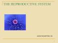 THE REPRODUCTIVE SYSTEM PowerPoint PPT Presentation