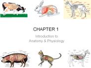 Introduction to