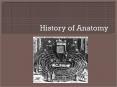 History of Anatomy PowerPoint PPT Presentation
