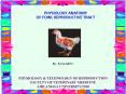 PHYSIOLOGY ANATOMY OF FOWL REPRODUCTIVE TRACT PowerPoint PPT Presentation