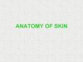 ANATOMY OF SKIN PowerPoint PPT Presentation