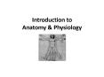 Introduction to Anatomy PowerPoint PPT Presentation
