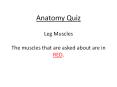 Anatomy Quiz Leg Muscles The muscles that are asked about are in RED. PowerPoint PPT Presentation