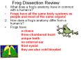 Frog Dissection Review PowerPoint PPT Presentation